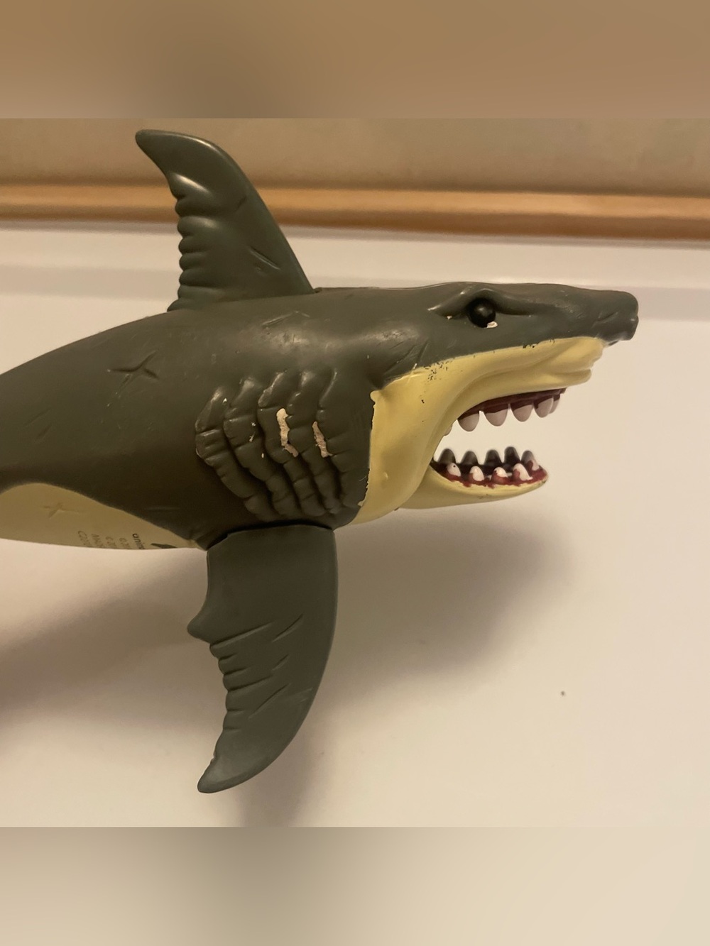 Animal planet shark mouth moves shark week ocean animal jaws animals